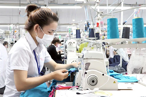 Textile/ Garment Industry 